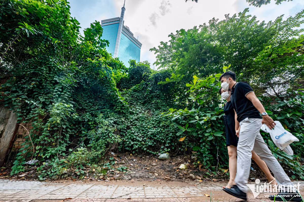 Cỏ cây mọc um tùm, cao hơn 2m. Nhiều người đi qua tỏ ra xót xa, tiếc nuối.