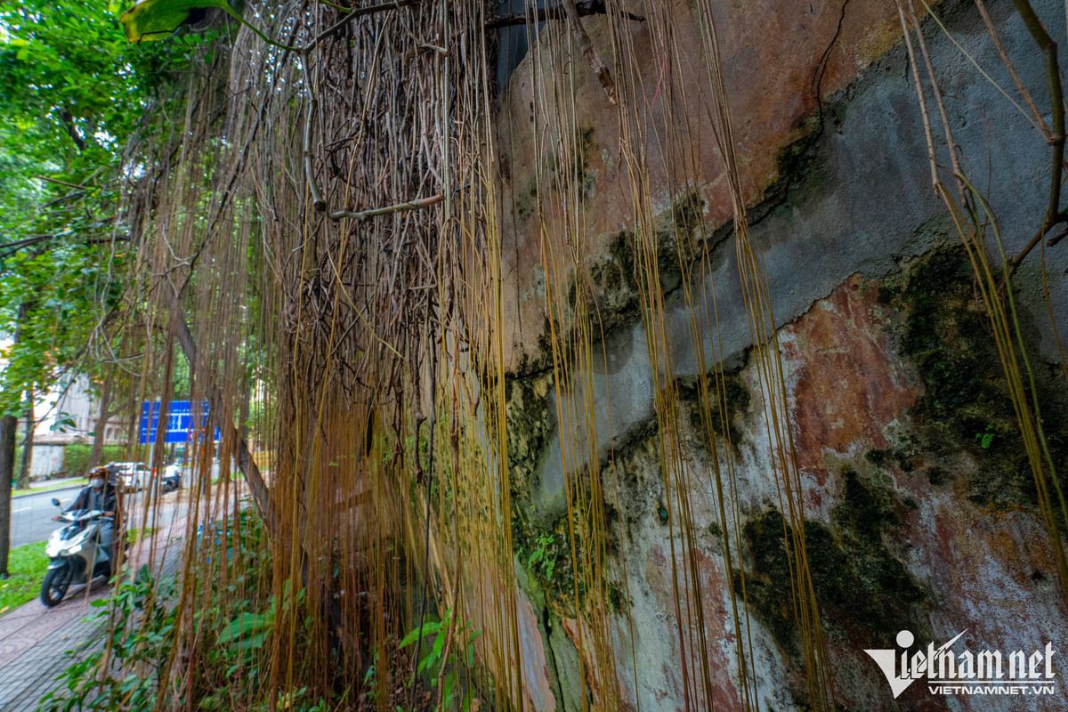 Một đoạn tường ở phía ngoài cũng trong tình trạng ngả nghiêng và mục nát, rong rêu mọc khắp nơi.