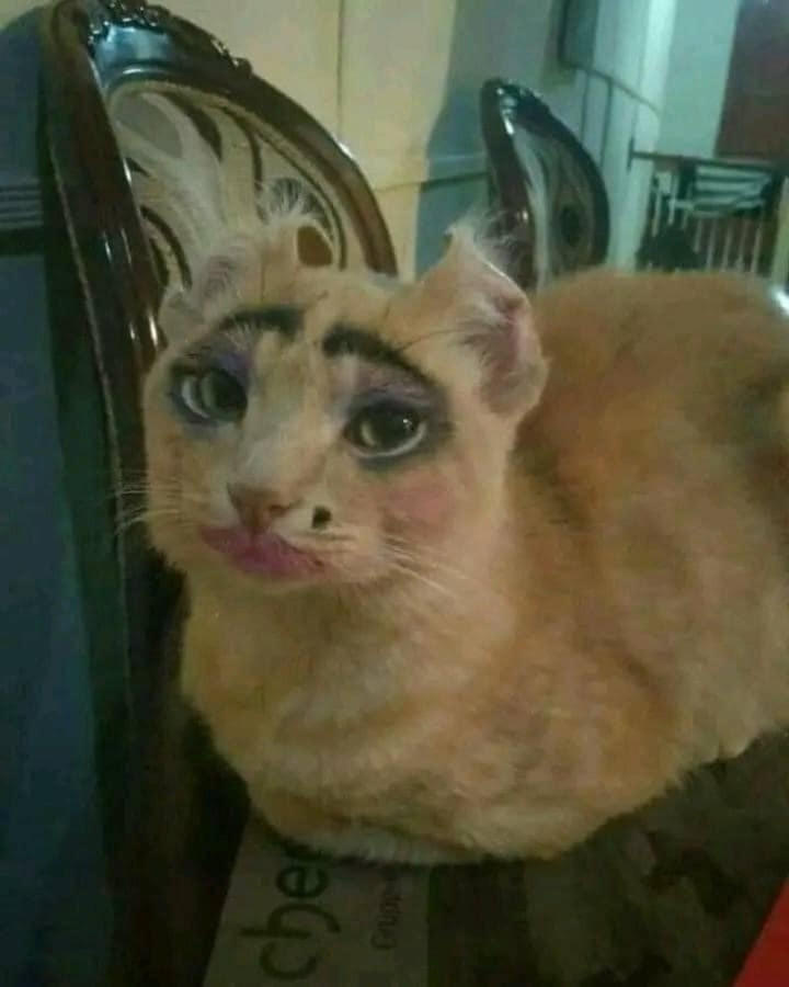 Tô một chút thì đẹp, tô nhiều quá nó "ô dề" lắm "sen" à.