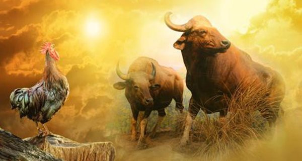 Từ tháng 6 - 8/2022: 3 con giáp "một tay hốt vàng, một tay đón lộc" Tu thang 6 - 8/2022: 3 con giap