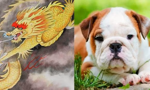 Ba cap con giap Troi sinh tuong hop, he lay nhau la doi no hoa-Hinh-3