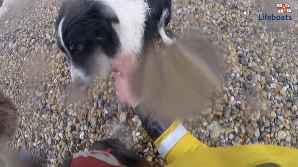 Cai ket bat ngo khi giai cuu chu cho roi xuong vach da 30m-Hinh-3