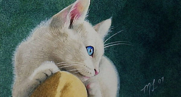 Tuổi Mão. Theo tử vi 12 con giáp, người tuổi Mão rất chín chắn và cẩn trọng trong mọi việc. Tuy đôi khi, họ tỏ ra rụt rè nhưng thực chất đây là biểu hiện của tính cẩn trọng.