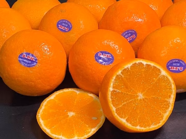 Bay tu Uc ve Viet Nam, dac san Uc gia re giat minh