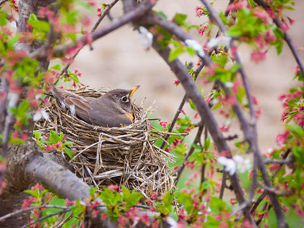 Sinh tháng Âm lịch này “chạm nút” là bùng nổ tài năng, kiếm tiền đỉnh - Hình 4 Sinh thang Am lich nay “cham nut” la bung no tai nang, kiem tien dinh-Hinh-4
