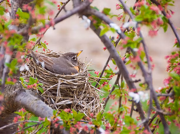 Sinh thang Am lich nay “cham nut” la bung no tai nang, kiem tien dinh-Hinh-4