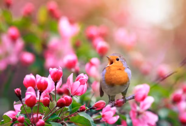 Sinh thang Am lich nay “cham nut” la bung no tai nang, kiem tien dinh-Hinh-3