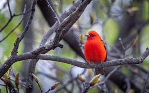 Sinh tháng Âm lịch này “chạm nút” là bùng nổ tài năng, kiếm tiền đỉnh - Hình 5 Sinh thang Am lich nay “cham nut” la bung no tai nang, kiem tien dinh-Hinh-5