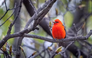 Sinh thang Am lich nay “cham nut” la bung no tai nang, kiem tien dinh-Hinh-5