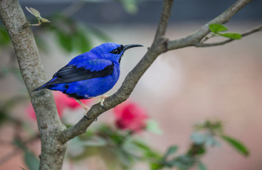 Sinh tháng Âm lịch này “chạm nút” là bùng nổ tài năng, kiếm tiền đỉnh Sinh thang Am lich nay “cham nut” la bung no tai nang, kiem tien dinh
