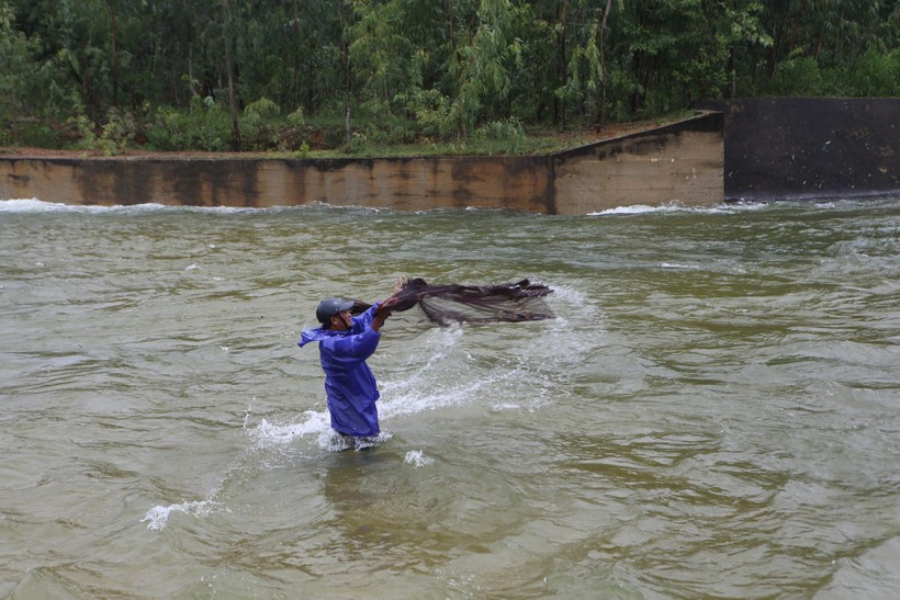 Chỉ mất vài phút, cá đã sa vào lưới các vợt thủ. Có những người bắt từ 7h – 11h thu về hàng chục kg cá.