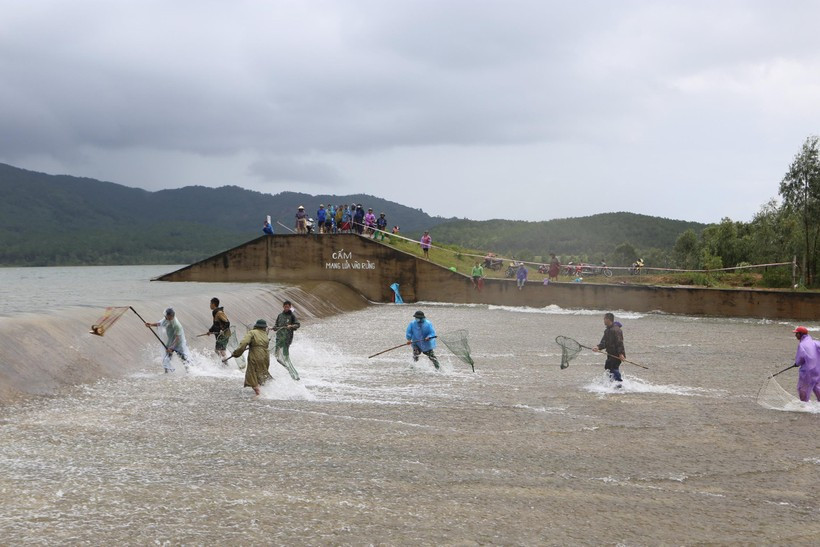 Khi cá vừa trôi qua tràn, các "vợt thủ" nhanh tay, nhanh mắt chỉ cần nhắm trúng con mồi kéo lên.