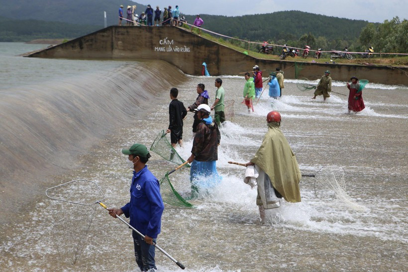 Người dân đứng xếp thành hàng ngang chờ từng đợt cá trôi qua đập tràn. Khung cảnh đánh bắt cá trên khu vực đập Cu Lây vô cùng nhộn nhịp.