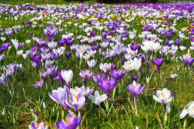 Thang 10/2022, 4 con giap tam trang ruc ro nhu mua thu, tien tai phat-Hinh-2