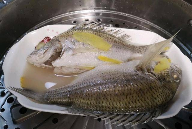 Nấu món cá hấp có nên ướp muối trước? Nhiều người làm sai - Hình 3 Nau mon ca hap co nen uop muoi truoc? Nhieu nguoi lam sai-Hinh-3