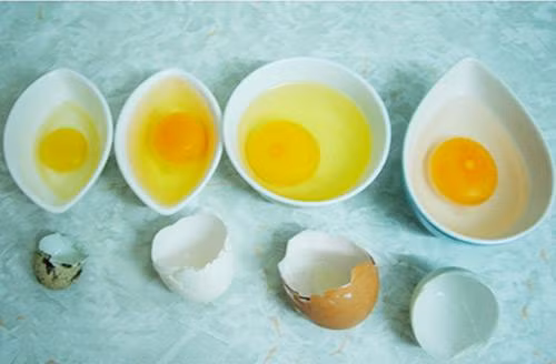 Trung ga, trung cut, trung vit: Nen cho con an loai nao la tot nhat?