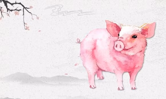 Tuổi Hợi. Những người tuổi Hợi là những người có phúc dày, cuộc sống tương đối nhàn hạ, an yên.