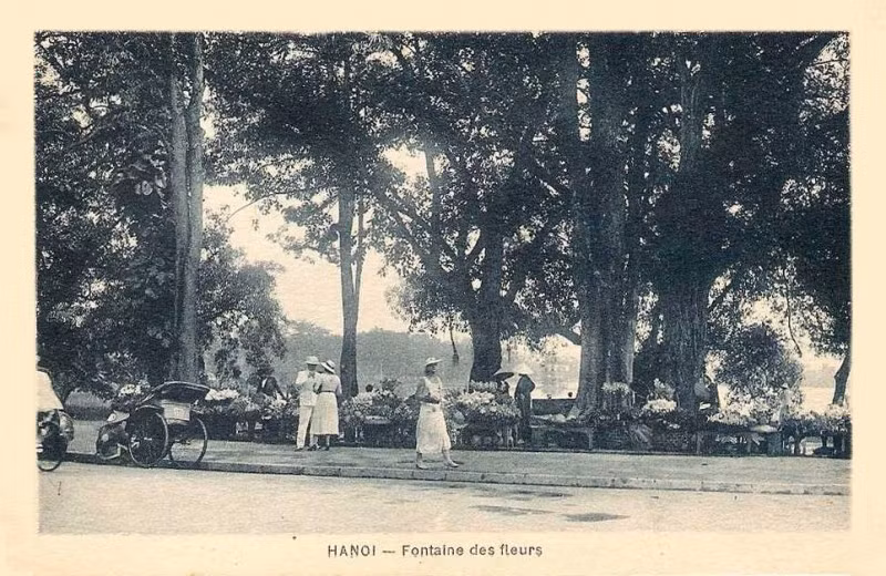 Chợ hoa ven Hồ Gươm, góc Hàng Khay - Đinh Tiên Hoàng