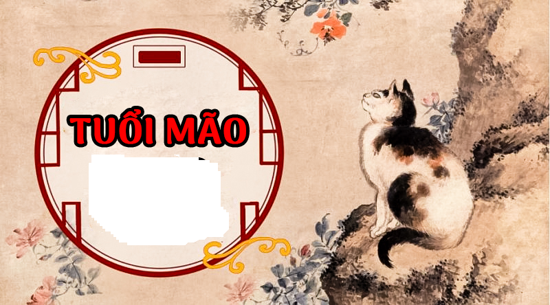 Về mặt tình cảm, năm nay tuổi Mão có nhiều đào hoa tinh chiếu mệnh nên tình duyên khá vượng. Những người độc thân dễ tìm được 1 nửa ưng ý và tiến đến mối quan hệ lâu dài, nhiều hứa hẹn.