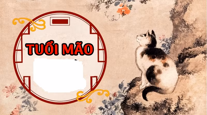 Về mặt tình cảm, năm nay tuổi Mão có nhiều đào hoa tinh chiếu mệnh nên tình duyên khá vượng. Những người độc thân dễ tìm được 1 nửa ưng ý và tiến đến mối quan hệ lâu dài, nhiều hứa hẹn.