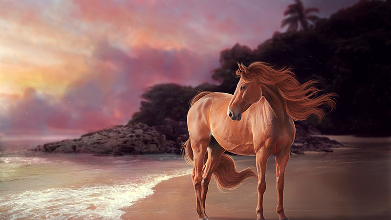 Trong vòng nửa tháng tới, con giáp tuổi Ngọ sẽ có thêm của cải, sức khỏe dồi dào, phúc khí đầy tay. Họ có cuộc sống bình an, ít gặp tai ương.