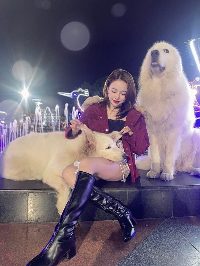 2 chú chó tại Đà Lạt "làm việc" vì "miếng cơm manh áo" - Hình 5 2 chu cho tai Da Lat