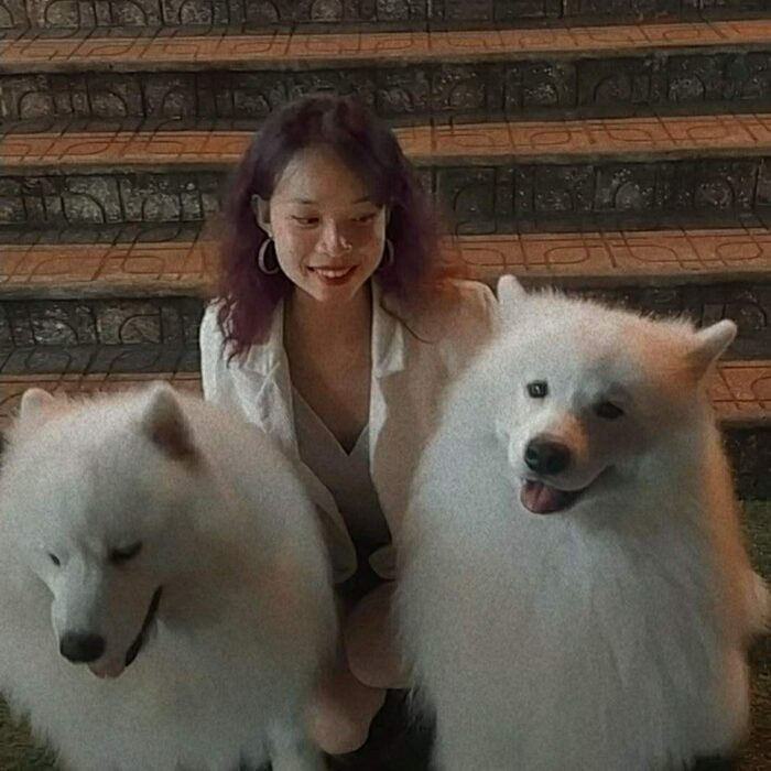 2 chú chó tại Đà Lạt "làm việc" vì "miếng cơm manh áo" - Hình 6 2 chu cho tai Da Lat