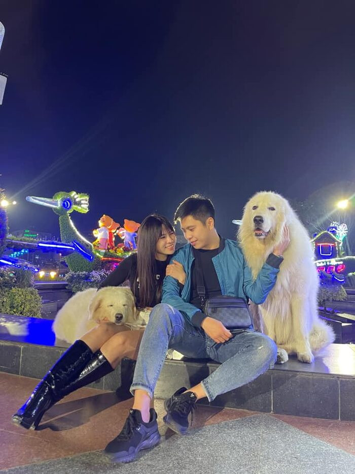 2 chú chó tại Đà Lạt "làm việc" vì "miếng cơm manh áo" - Hình 2 2 chu cho tai Da Lat