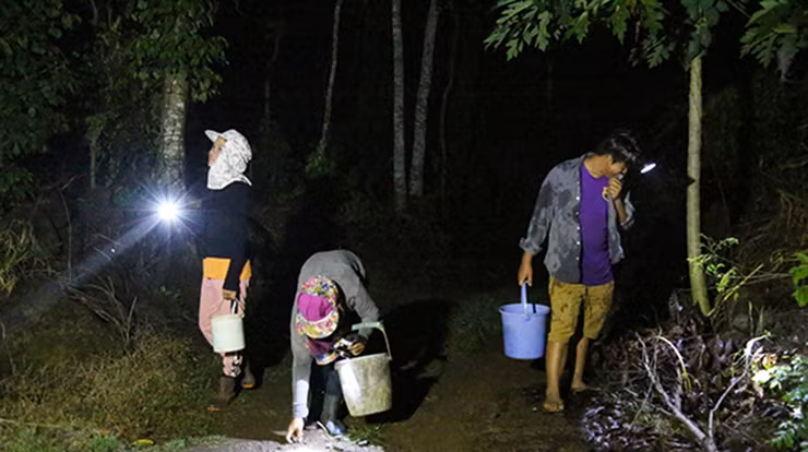 Ở nhiều nơi, cứ trời tối người dân lại rủ nhau đi săn ốc núi về bán. Khi vào mùa mưa, ốc ra ăn nhiều, mỗi người có thể bắt được vài chục cân