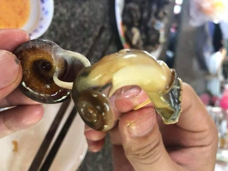 Ốc núi có thể chế biến thành nhiều món ăn hấp dẫn như: Luộc, xào lá lốt, hấp gừng, hấp xả, xào sả ớt, trộn gỏi... Nhưng món ăn được nhiều người thích và chế biến nhiều nhất vẫn là món ốc hấp xả.