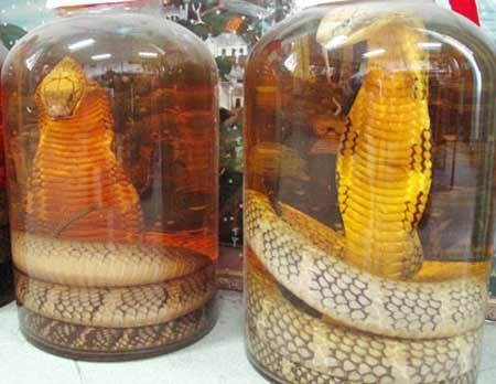 Tạp chí ẩm thực bình chọn 5 món ăn "gây sốc" Đông Nam Á Tap chi am thuc binh chon 5 mon an