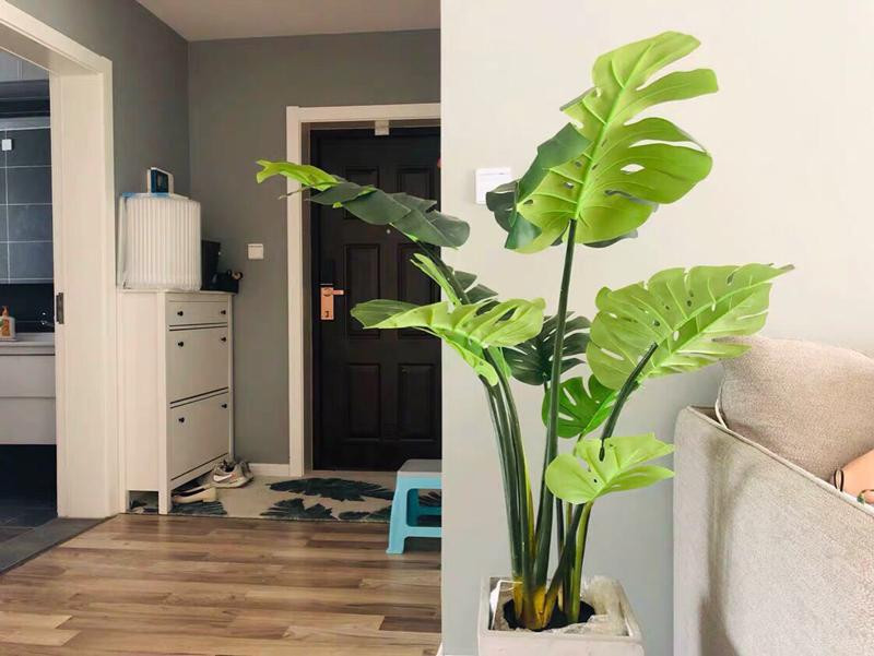 Hoa giả, cây giả. Hoa giả, cây giả được nhiều người trưng trước cửa nhà nhà để trang trí. Chúng có màu sắc, hình dáng sinh động không thua kém các loại cây và hoa thật. Tuy nhiên, theo quan niệm phong thủy, đặt cây giả, hoa giả ở khu vực cửa ra vào là điều không tốt, làm vận may tiêu tan.