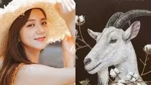 Tuần mới (21-27/11): Từng bước chạm đến ‘ngai vàng’, 3 con giáp tha hồ giàu - Hình 2 Tuan moi (21-27/11): Tung buoc cham den ‘ngai vang’, 3 con giap tha ho giau-Hinh-2