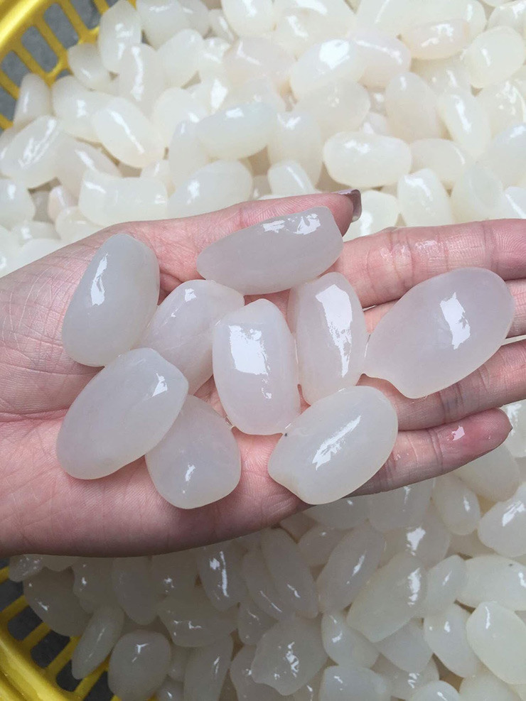 Đến mùa, người dân lại kéo nhau vào rừng thu hoạch hạt đác rồi bán cho thương lái.