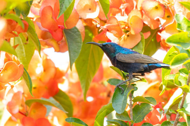 Tháng 11 Âm lịch. Những người sinh vào tháng 11 Âm lịch vốn là những người sống tình cảm. Dù so với người khác họ thường gặp nhiều khó khăn nhưng bước vào giai đoạn sau 30 tuổi lại thăng hoa. Họ vốn không giỏi thể hiện bản thân qua lời nói nên chỉ biết dùng hành động để chứng minh.