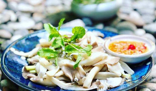 Loai thuc vat ngua ung thu cung nhieu benh nguy hiem-Hinh-3