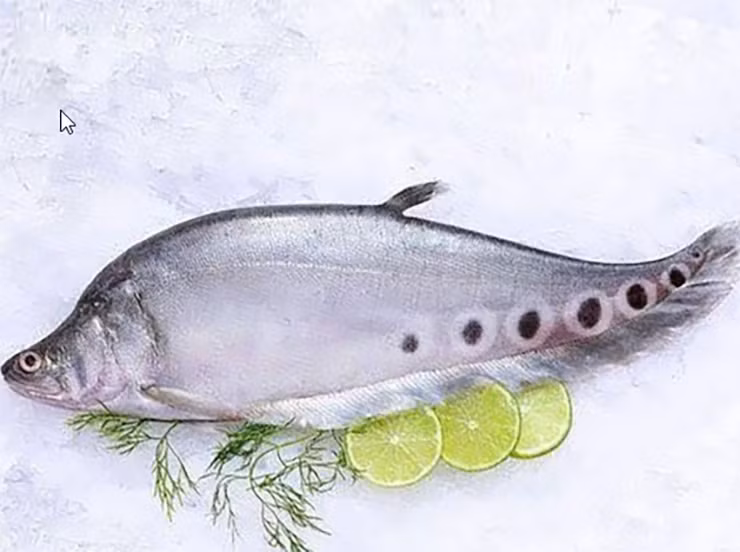 Loai ca xua khong ai them an nay ban 330.000 dong/kg-Hinh-7