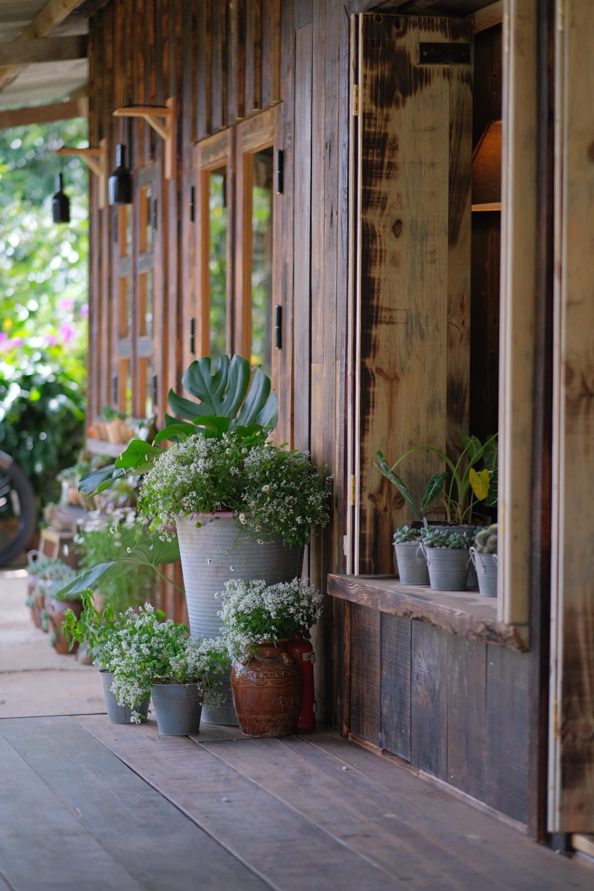 Co gai dung nha go, song giua hoa co, may troi o Da Lat-Hinh-3