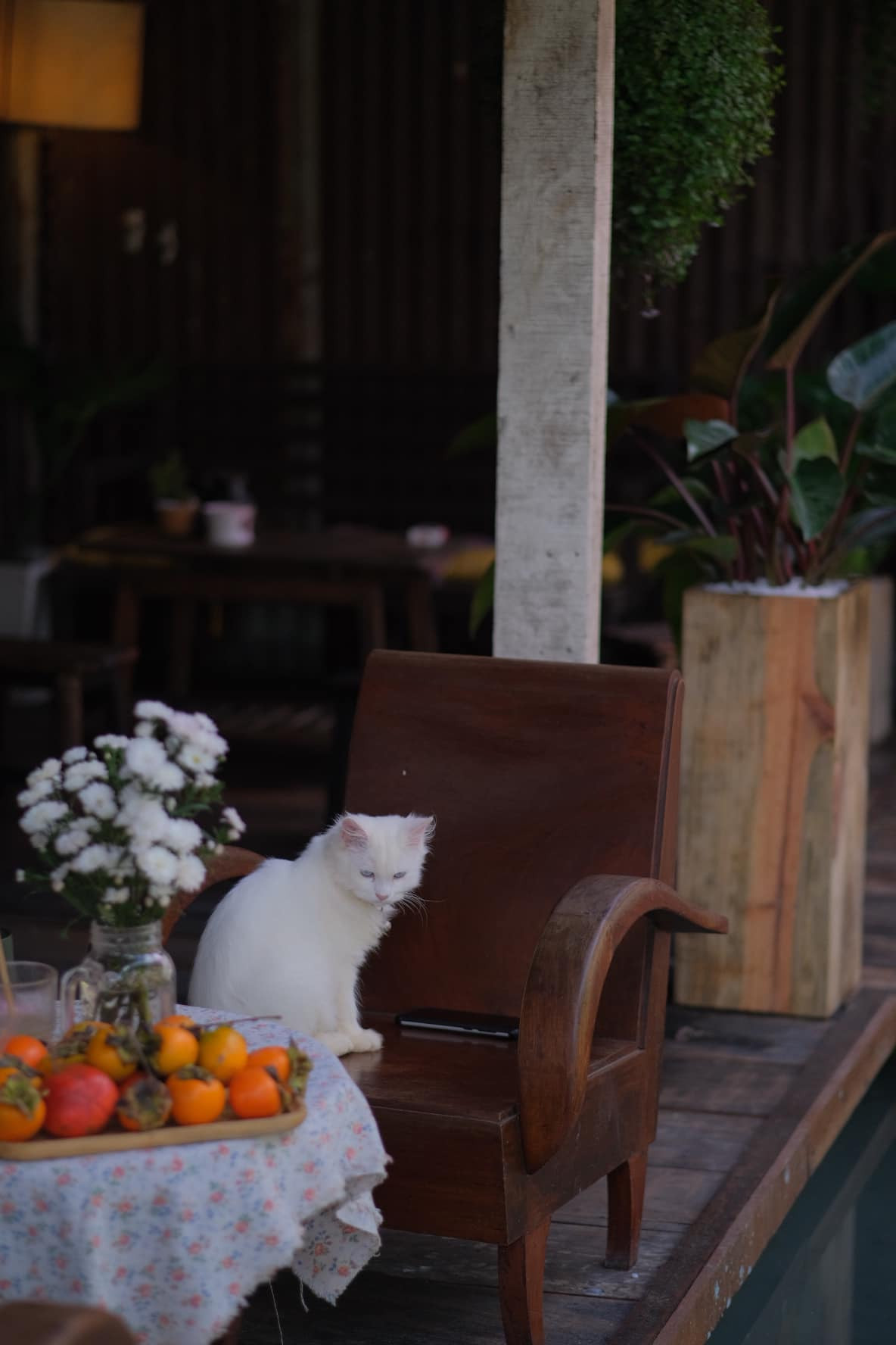 Co gai dung nha go, song giua hoa co, may troi o Da Lat-Hinh-4