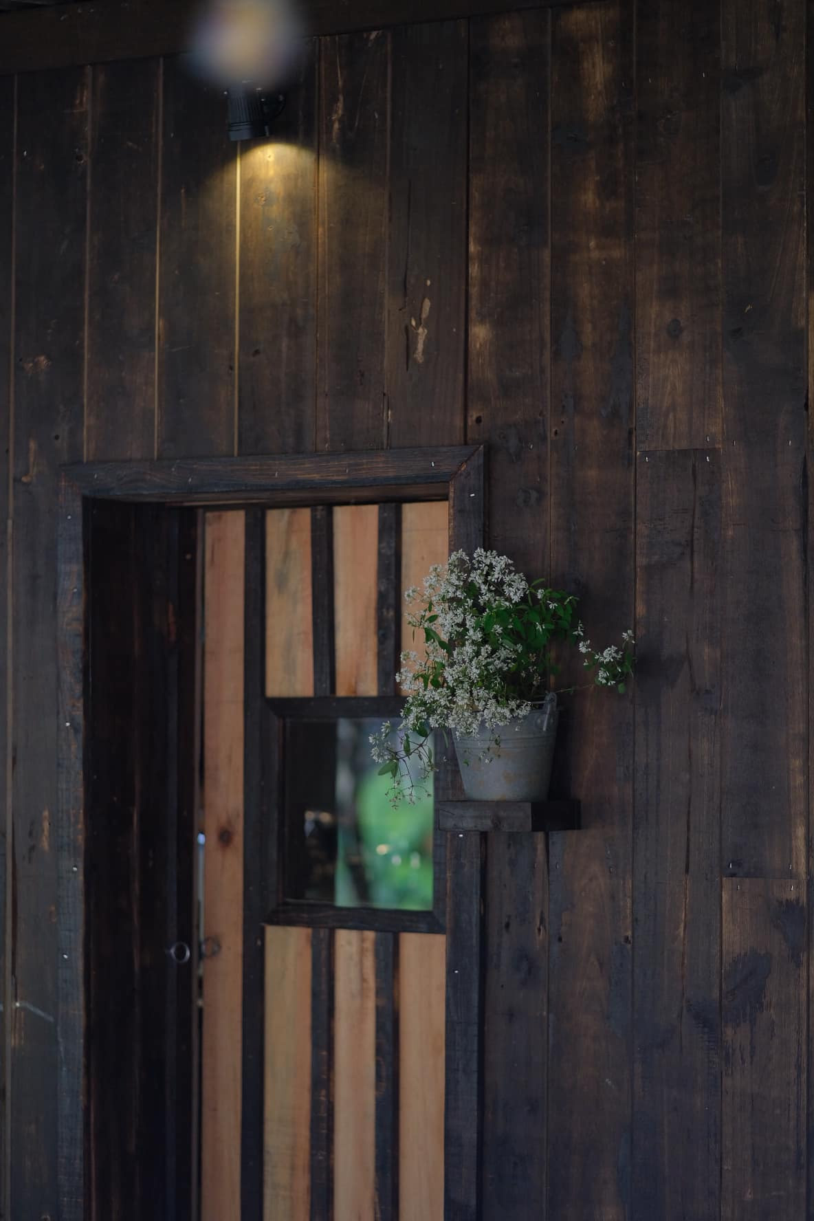 Co gai dung nha go, song giua hoa co, may troi o Da Lat-Hinh-10