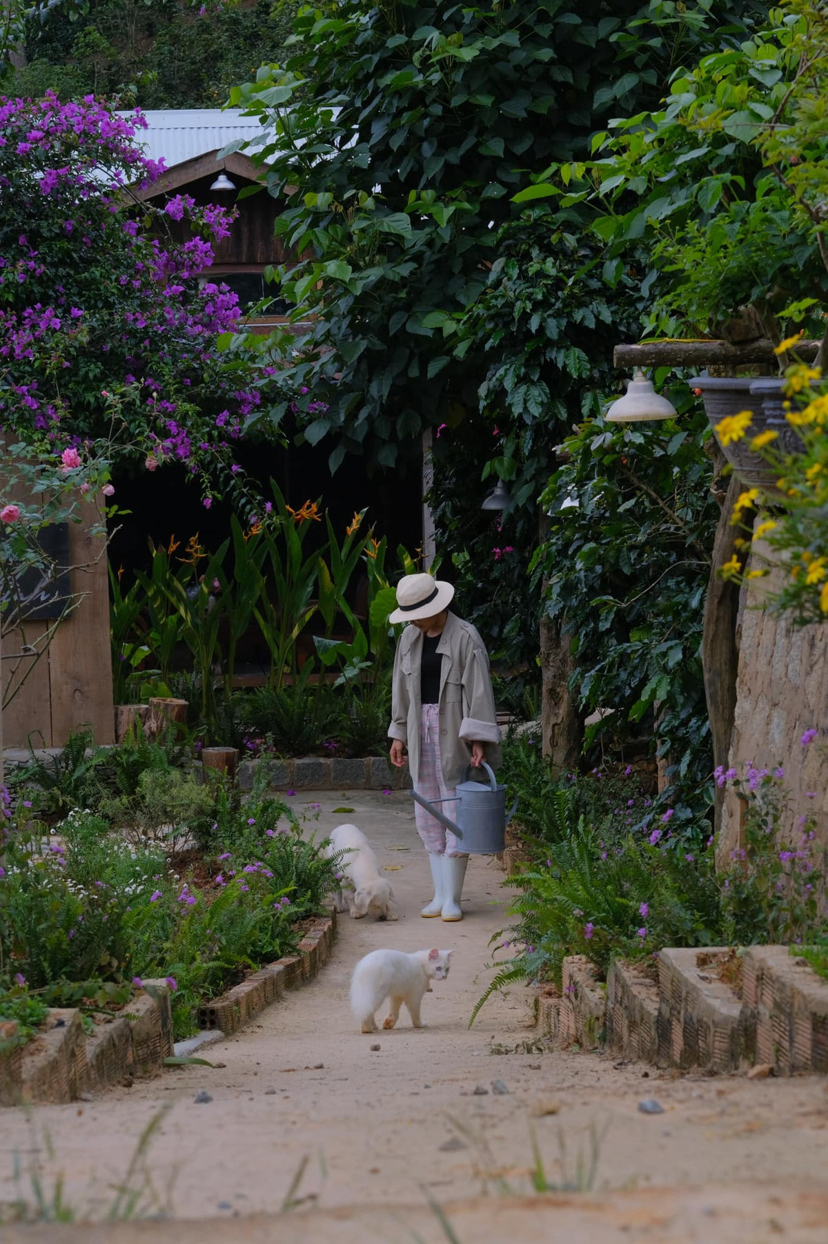 Co gai dung nha go, song giua hoa co, may troi o Da Lat-Hinh-8