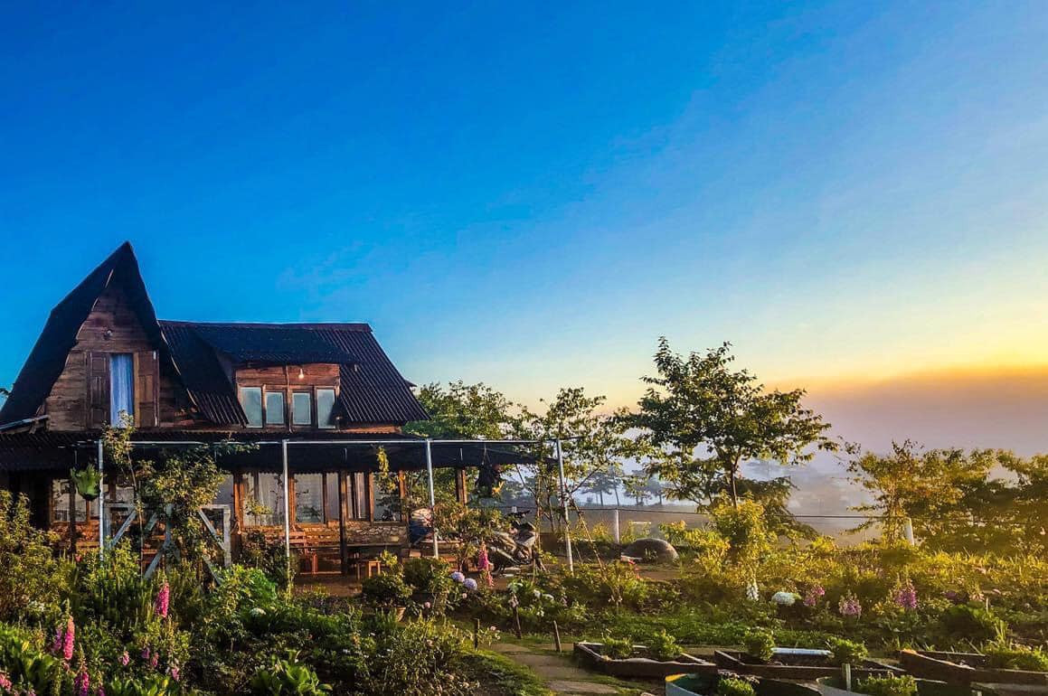 Co gai dung nha go, song giua hoa co, may troi o Da Lat-Hinh-2