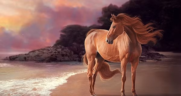 Thanh nhan dai ke khu kho: 4 tuoi giau sang phu quy 2 nam toi-Hinh-3