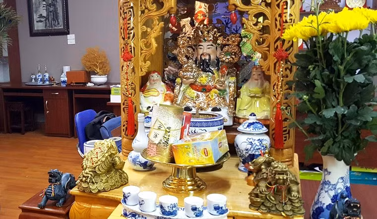 Dat 5 loai hoa nay len ban tho be tren ung bung giau co