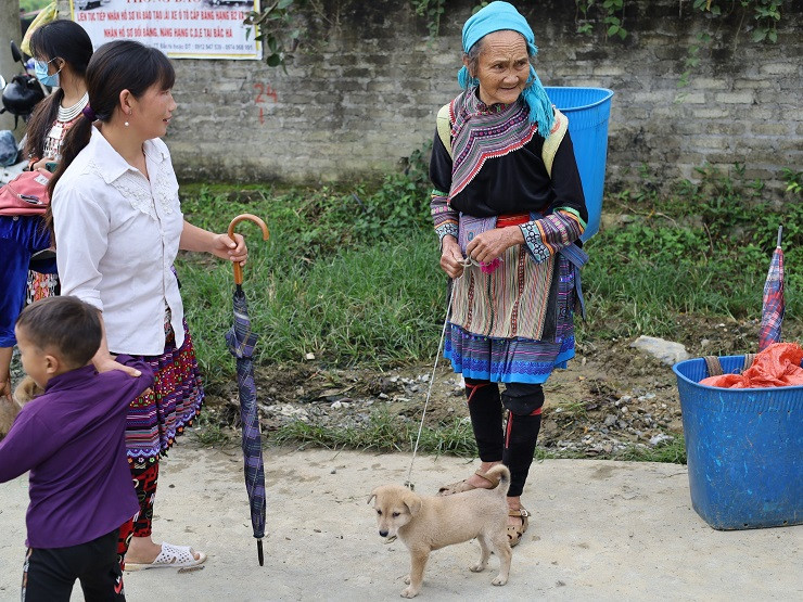 Chợ gia súc tuần nào cũng diễn ra với sự náo nhiệt, rộn ràng tiếng nói cười của một cuộc giao dịch thành công, hay những câu chuyện thường ngày tạo ra khung cảnh sôi động, nhộn nhịp...