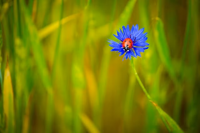 Người sinh tháng 3 và 6 Âm lịch. Theo bói ngày tháng sinh Âm lịch, người sinh vào tháng 3 và 6 Âm lịch là những người có cá tính. Trong quá trình tích lũy kinh nghiệm sống và làm việc, khi năng lực tốt hơn thì họ cũng gặp được nhiều điều tốt lành hơn.