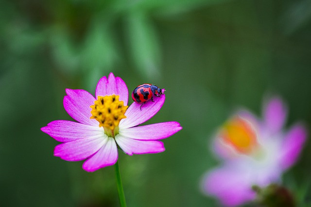 Sinh vào tháng Âm lịch này năm 2022 thoát nghèo ngoạn mục, tài khoản nhấp nháy Sinh vao thang Am lich nay nam 2022 thoat ngheo ngoan muc, tai khoan nhap nhay
