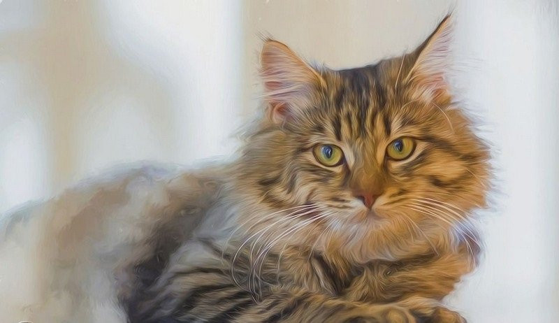 4 con giáp 30 tuổi phất lên, 40 tuổi tiền nhiều đếm không xuể 4 con giap 30 tuoi phat len, 40 tuoi tien nhieu dem khong xue