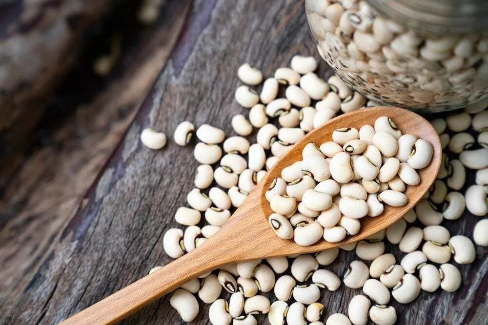 Đậu trắng: Đây là nguồn canxi lành mạnh từ thực vật. Một cốc đậu trắng nấu chín (179 gram) cung cấp 12% lượng canxi cần thiết cho cơ thể. Ngoài ra, nó còn chứa chất xơ hòa tan, folate, sắt và kali giúp đường ruột khỏe mạnh và giảm nguy cơ loãng xương. Nhiều nghiên cứu cho thấy đậu trắng và các loại đậu khác có thể giúp giảm mức cholesterol có hại LDL và ngăn ngừa nguy cơ phát triển bệnh tiểu đường type II. Ảnh: Farmcredit.