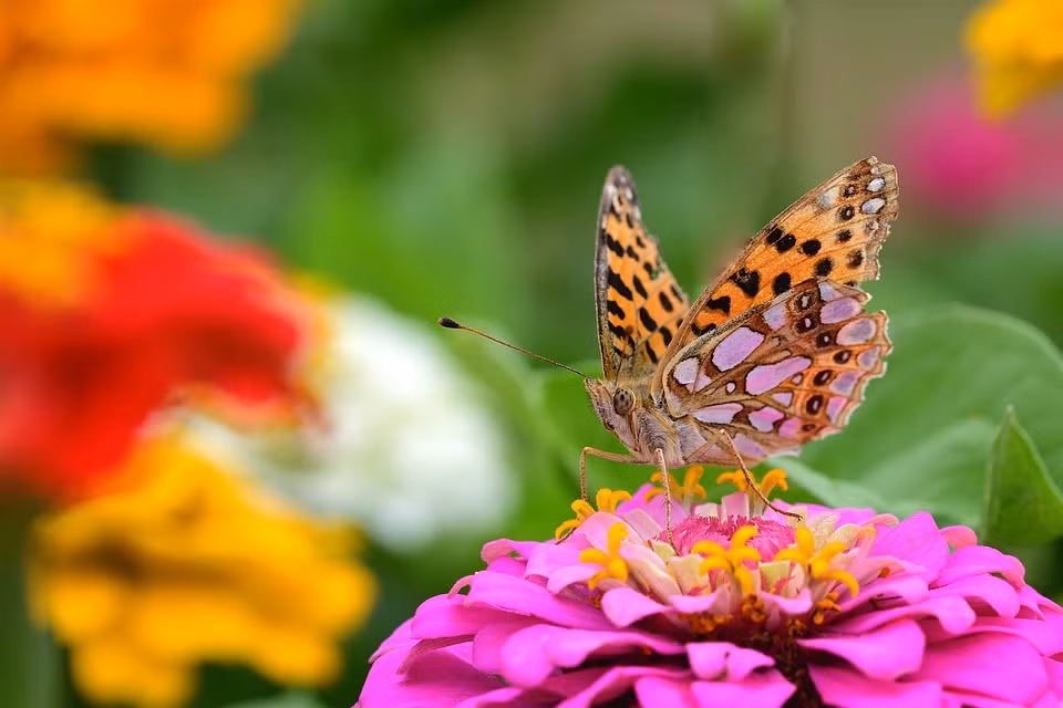 Nguoi sinh ngay Am lich nay theo duoi thanh cong, trung nien 